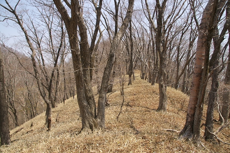 IMGP3518.jpg