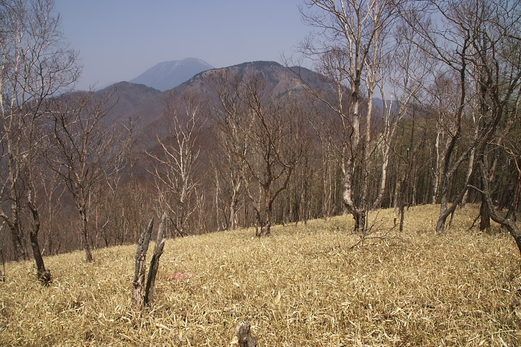 IMGP3519.jpg