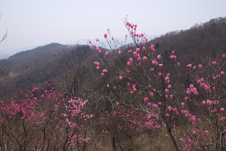 IMGP3569.jpg