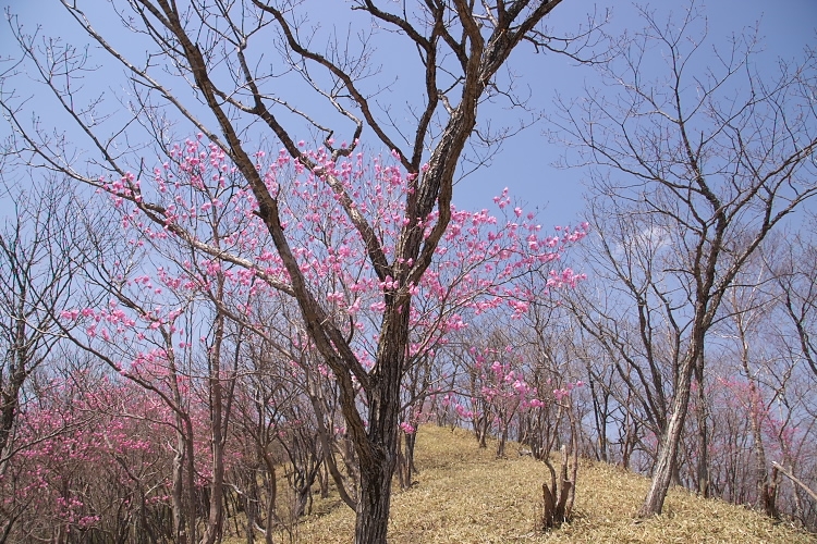 IMGP3578.jpg