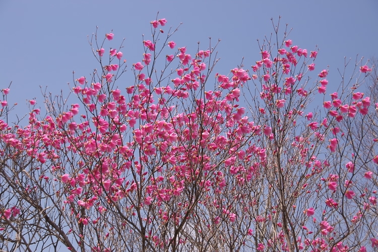 IMGP3579.jpg