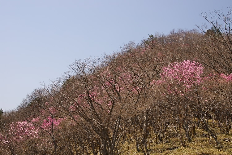 IMGP3582.jpg