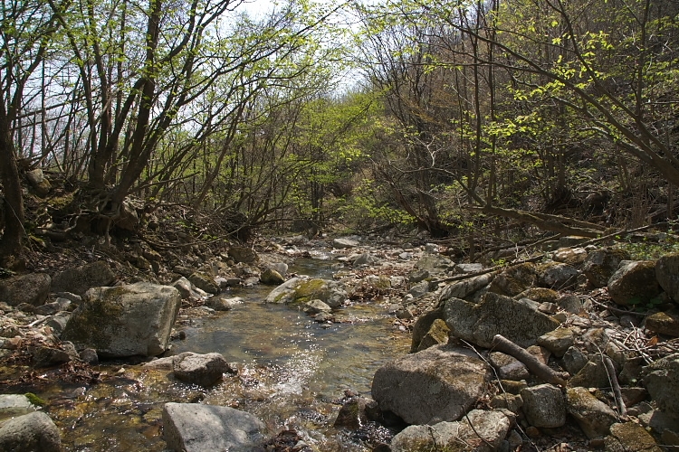 IMGP3589.jpg