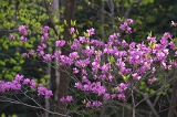 IMGP3422