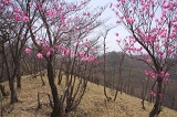 IMGP3559