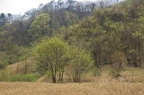 IMGP3594