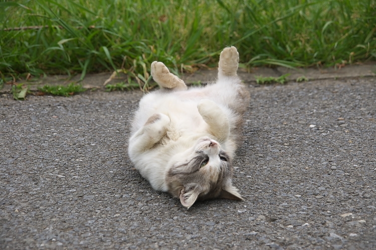 IMGP3664.jpg