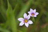 IMGP3634