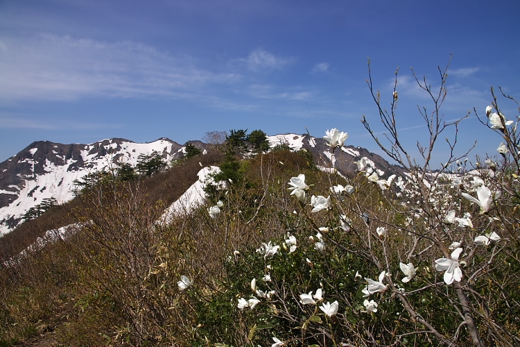 IMGP3845.jpg - 朝日岳山頂が見えてきた