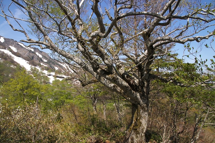IMGP3866.jpg