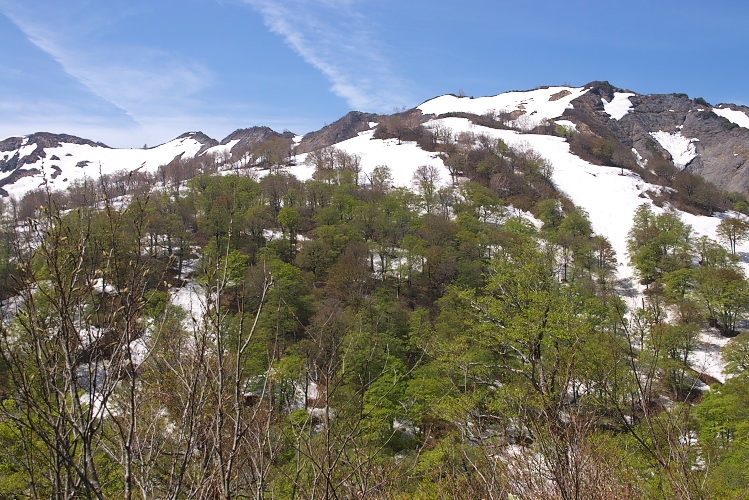 IMGP3872.jpg