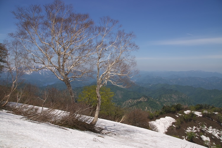 IMGP3935.jpg
