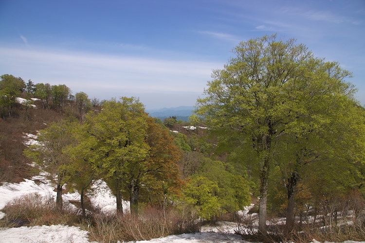 IMGP3941.jpg