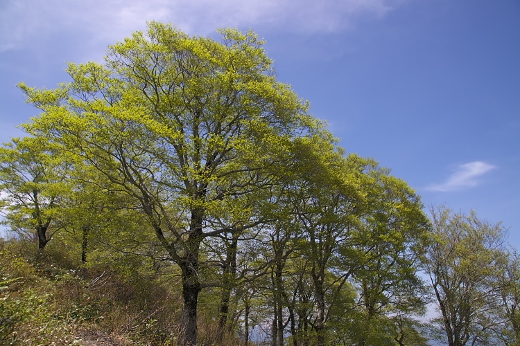 IMGP3945.jpg