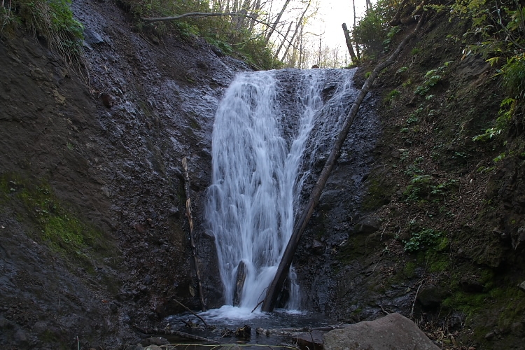 IMGP4011.jpg