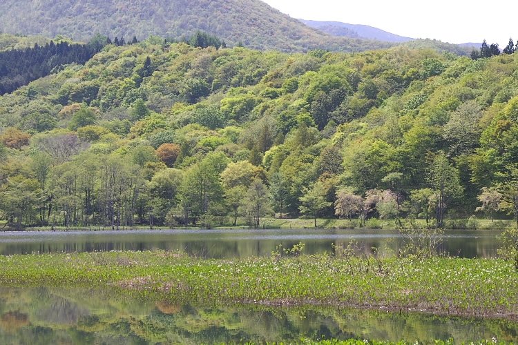 IMGP4023.jpg - 観音沼森林公園