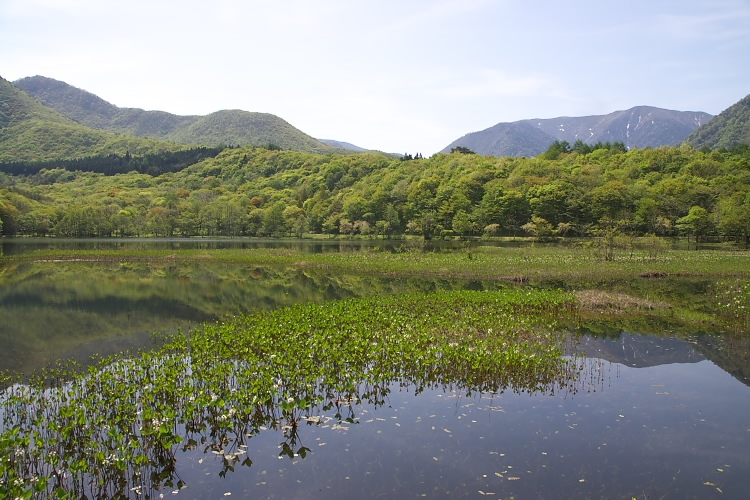 IMGP4025.jpg - 観音沼森林公園