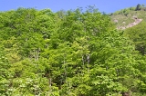 IMGP3769
