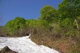 IMGP3779