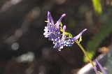 IMGP3781