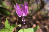 IMGP3828