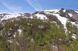 IMGP3872