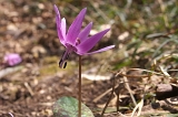 IMGP3889