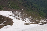 IMGP3921