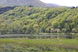 IMGP4023