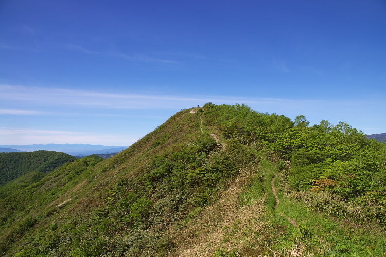 IMGP4615.jpg - 三角山