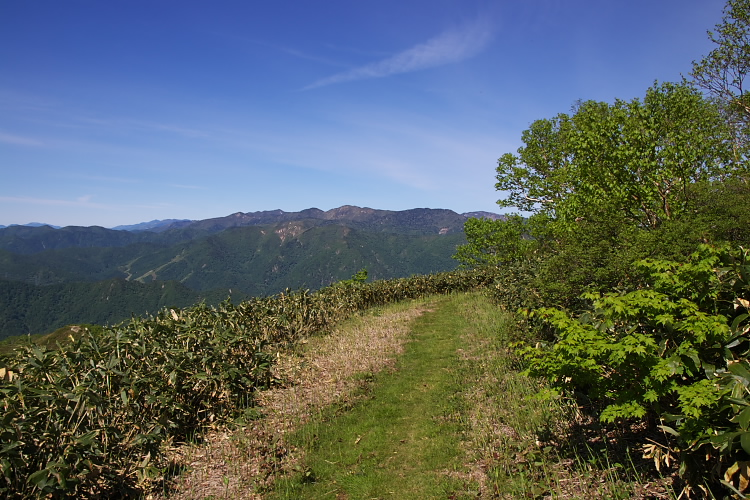 IMGP4620.jpg - 大源太山山頂付近にて