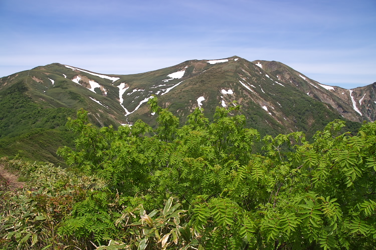 IMGP4711.jpg