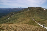 IMGP4685