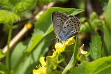 IMGP4714