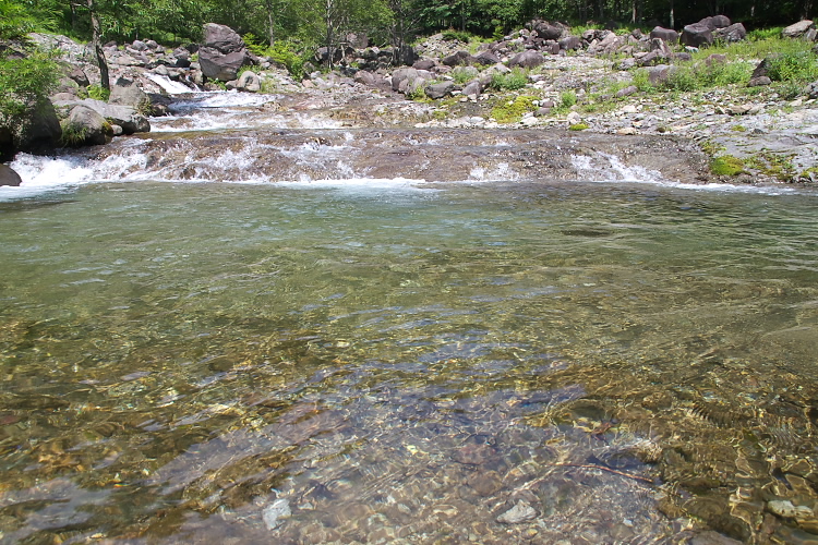 IMGP4789.jpg