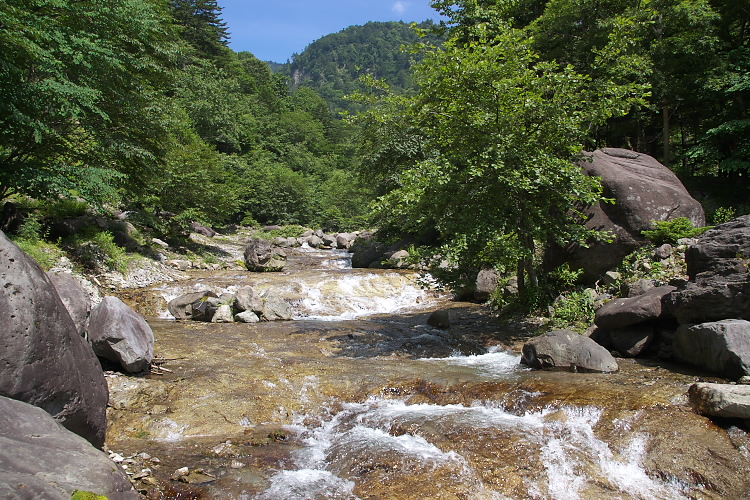 IMGP4796.jpg