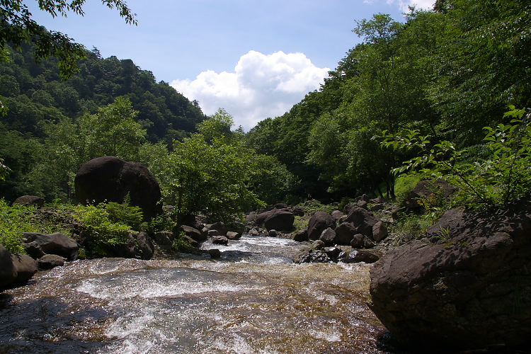 IMGP4805.jpg