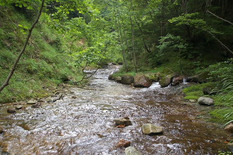 IMGP4858.jpg