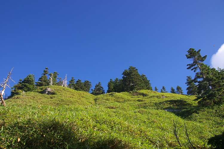 IMGP5031.jpg - もうすぐ錫ヶ岳山頂