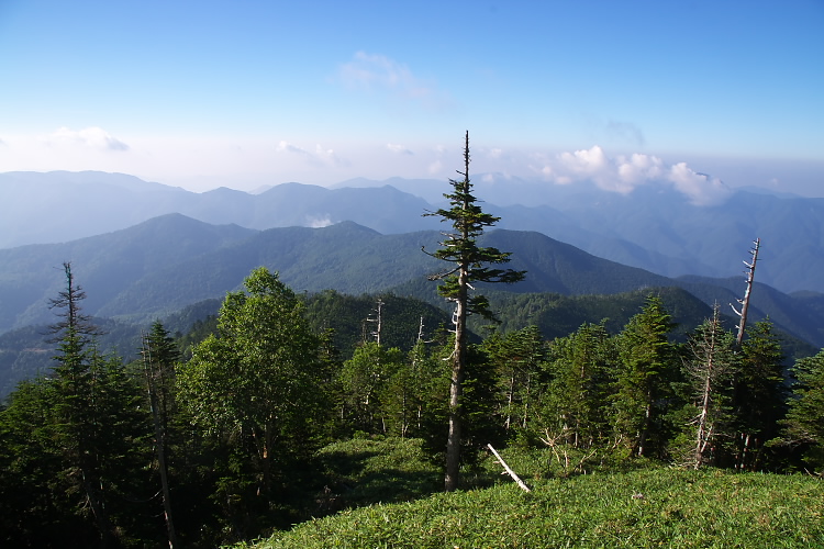 IMGP5033.jpg - 錫ヶ岳山頂付近にて