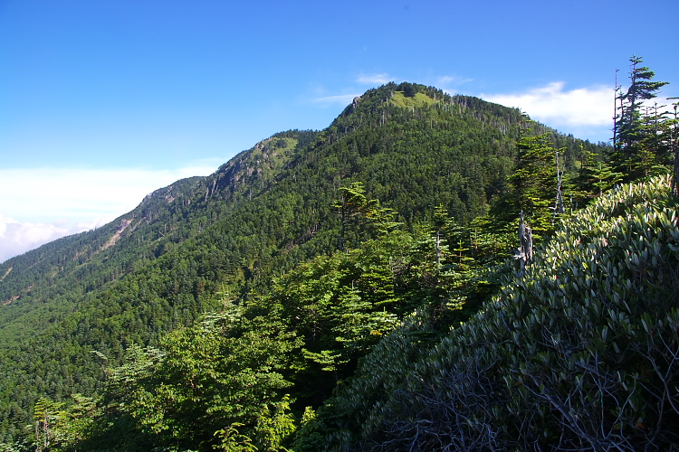 IMGP5053.jpg - 錫ヶ岳を振り返る