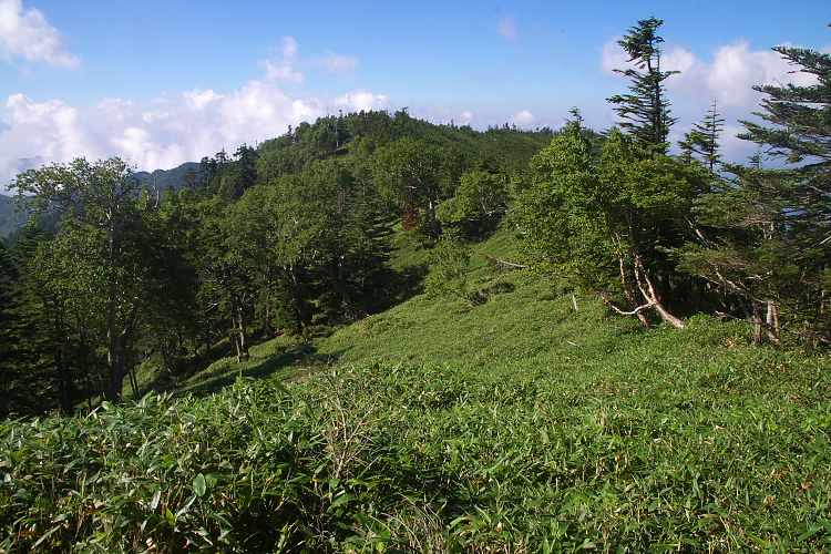 IMGP5059.jpg