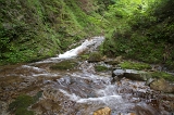 IMGP4845