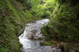 IMGP4847
