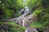 IMGP4936