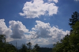 IMGP5074
