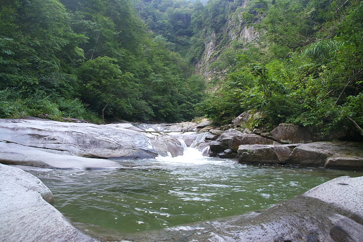 IMGP5210.jpg