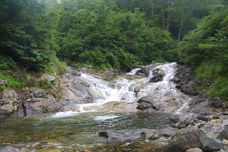 IMGP5246.jpg - 白毛門沢出合