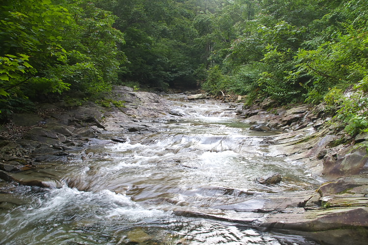 IMGP5275.jpg
