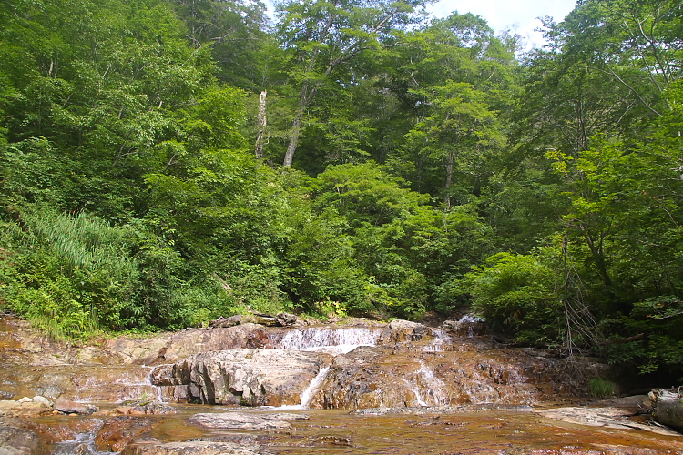 IMGP5401.jpg